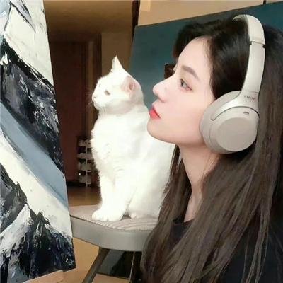 风骚律师