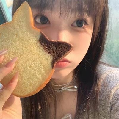 黑道家族